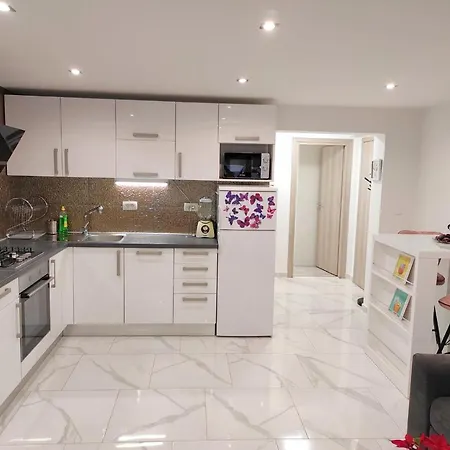 Dino With Heated Pool