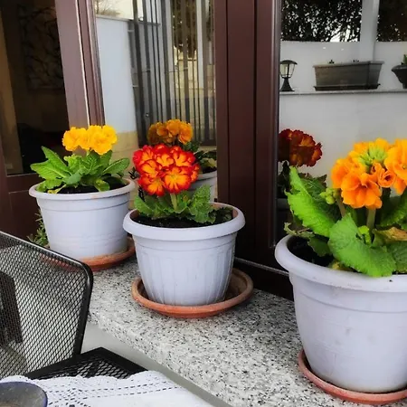 Dino With Heated Pool Appartement