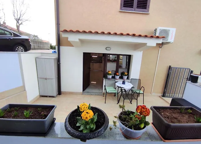 Dino With Heated Pool *