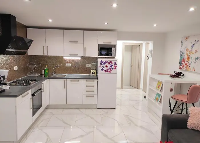 Dino With Heated Pool