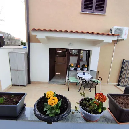 Dino With Heated Pool *