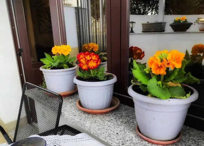 Dino With Heated Pool Appartamento